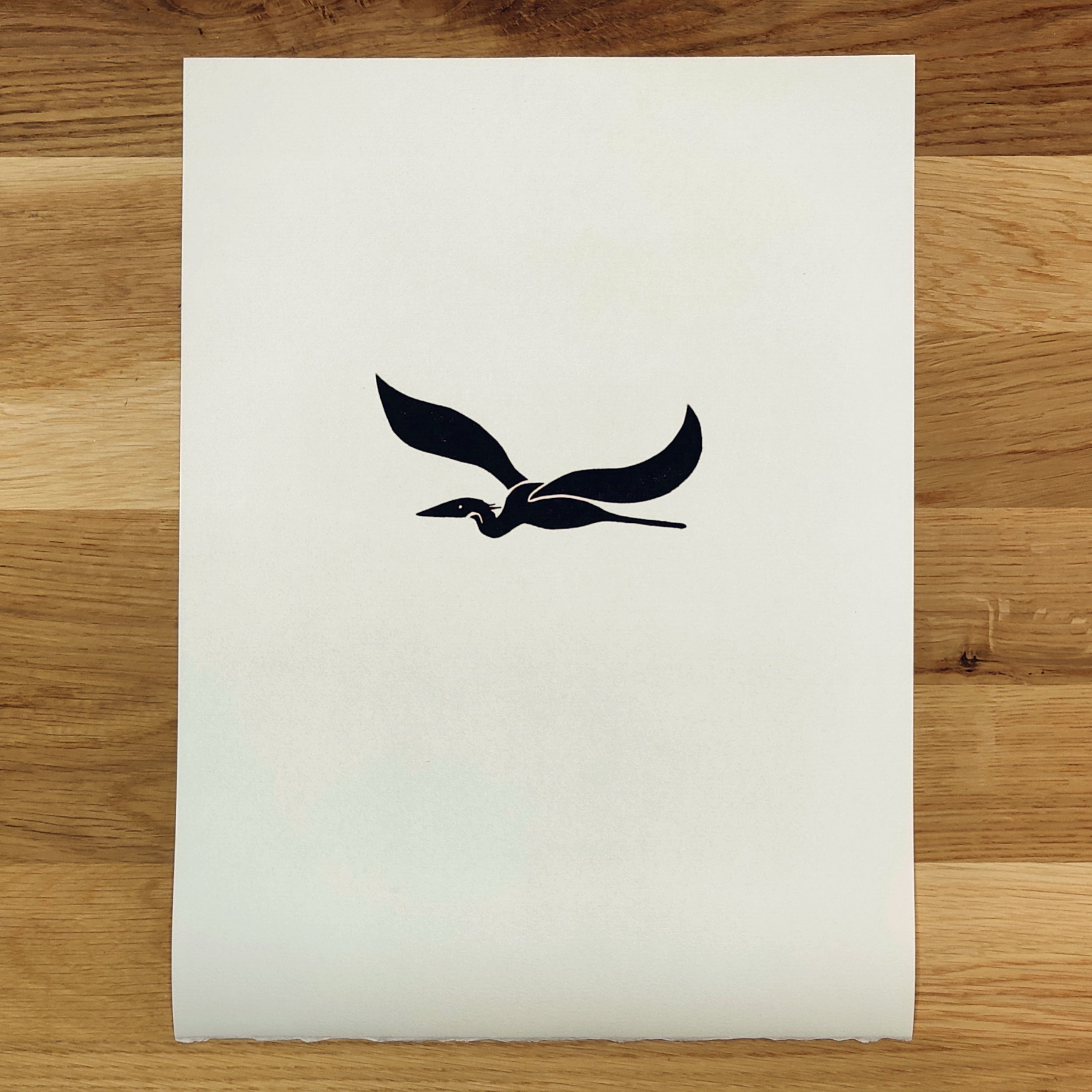 Blue Heron in Flight   Barbara Gomes Arts