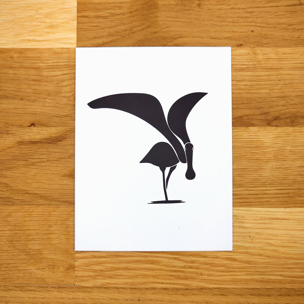 Coastal Birds Card Set
