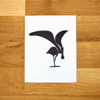 Coastal Birds Card Set