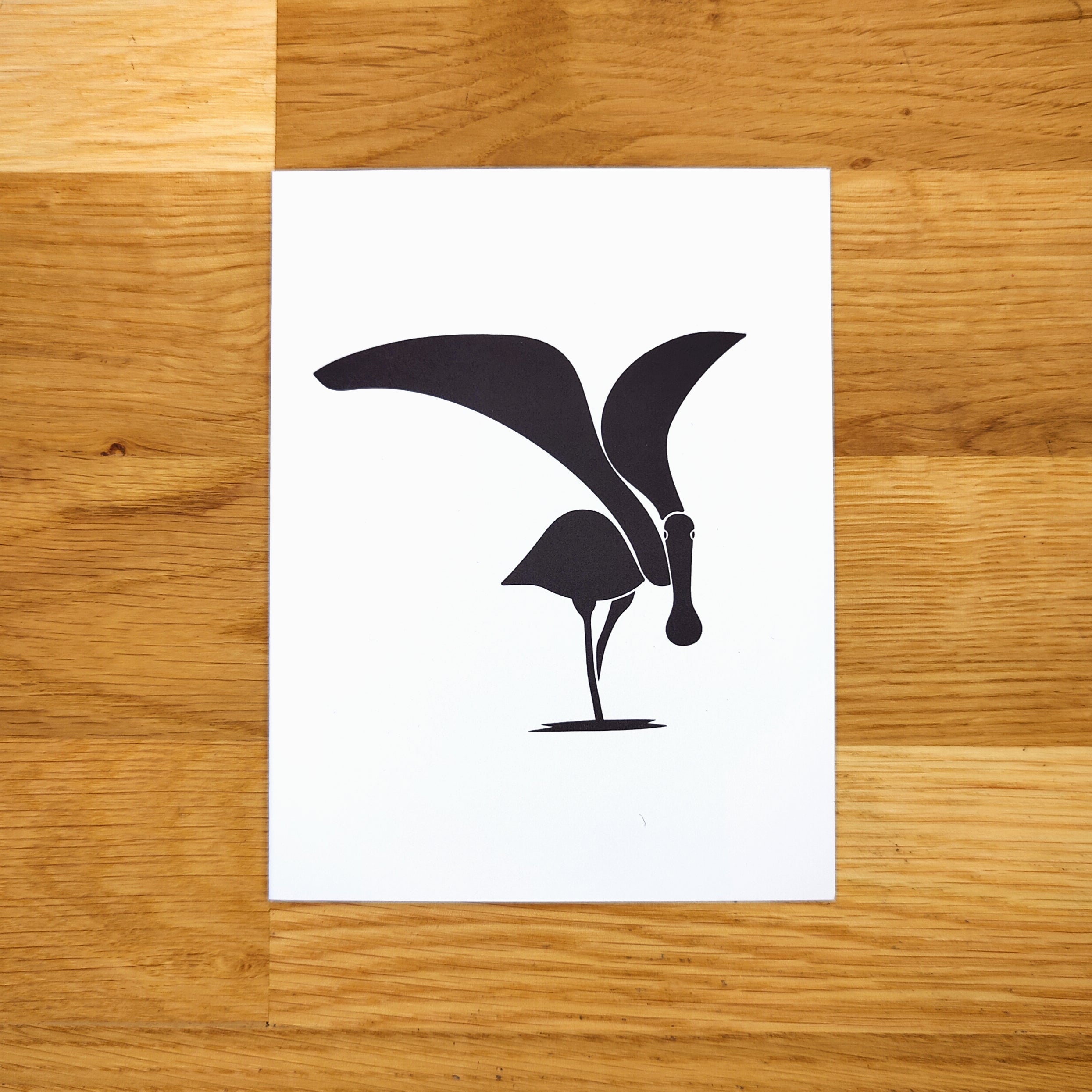 Coastal Birds Card Set