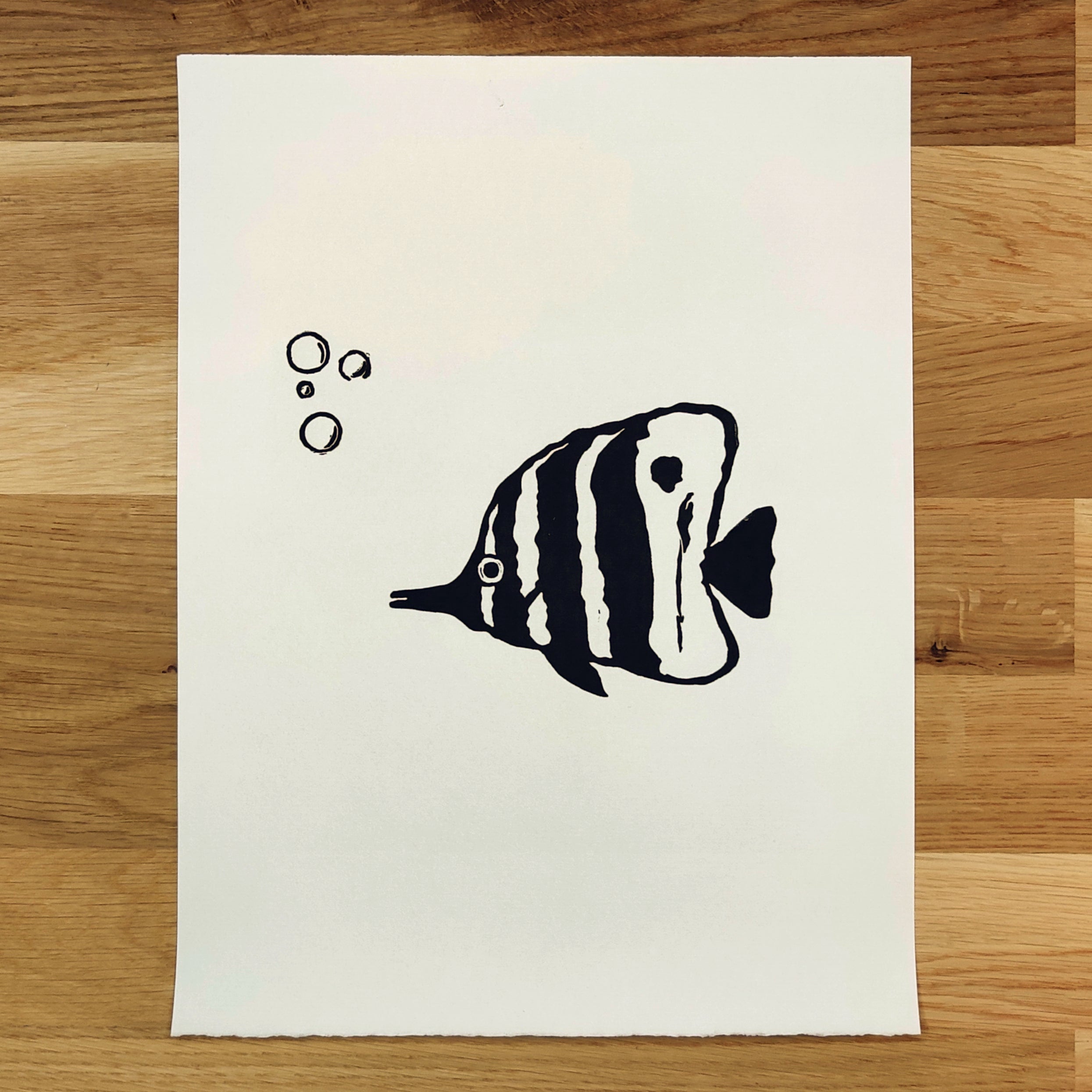 Butterfly Fish with Bubbles   Barbara Gomes Arts