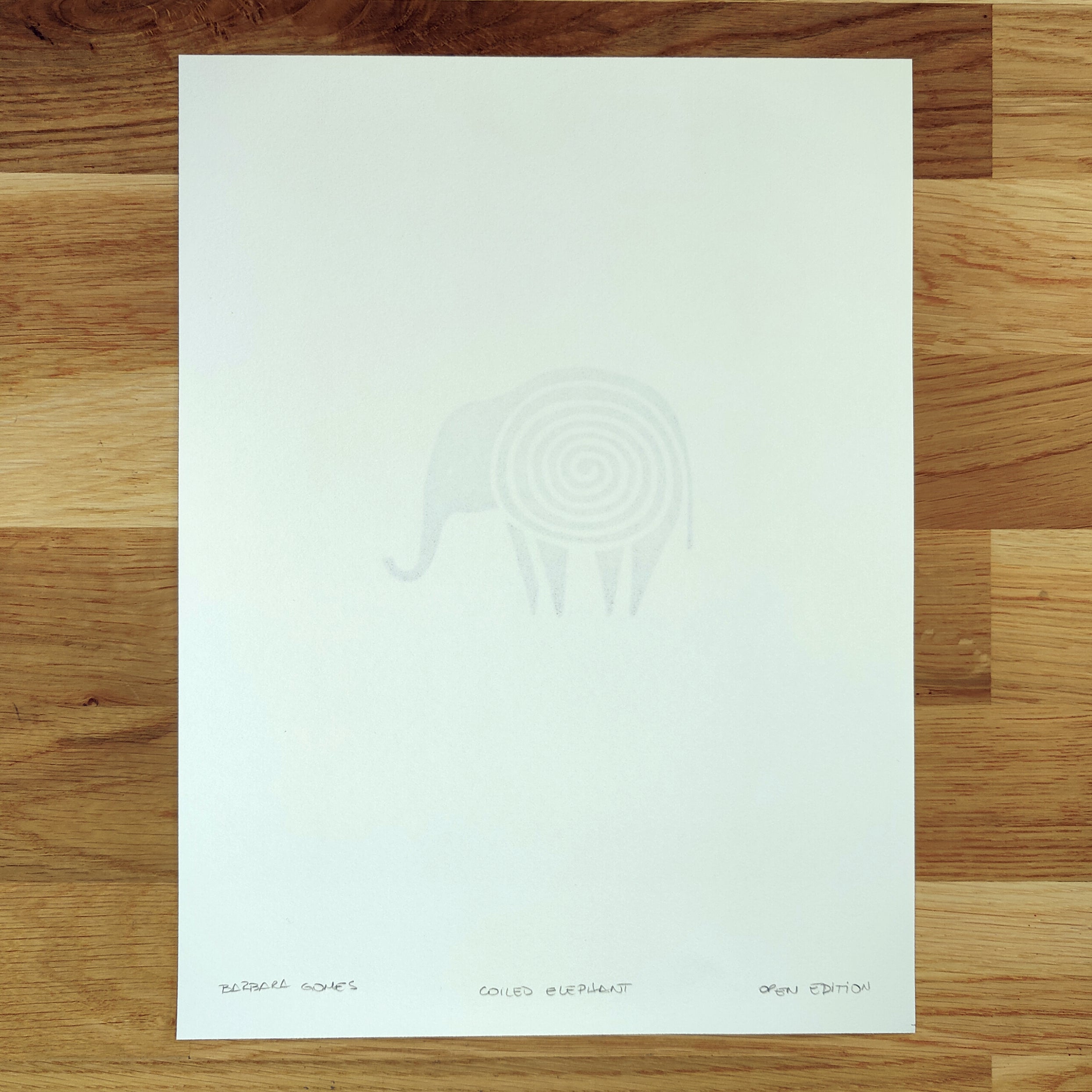 Coiled Elephant   Barbara Gomes Arts