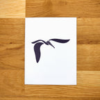 Coastal Birds Card Set