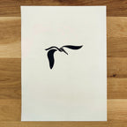 Diving Pelican   Barbara Gomes Arts