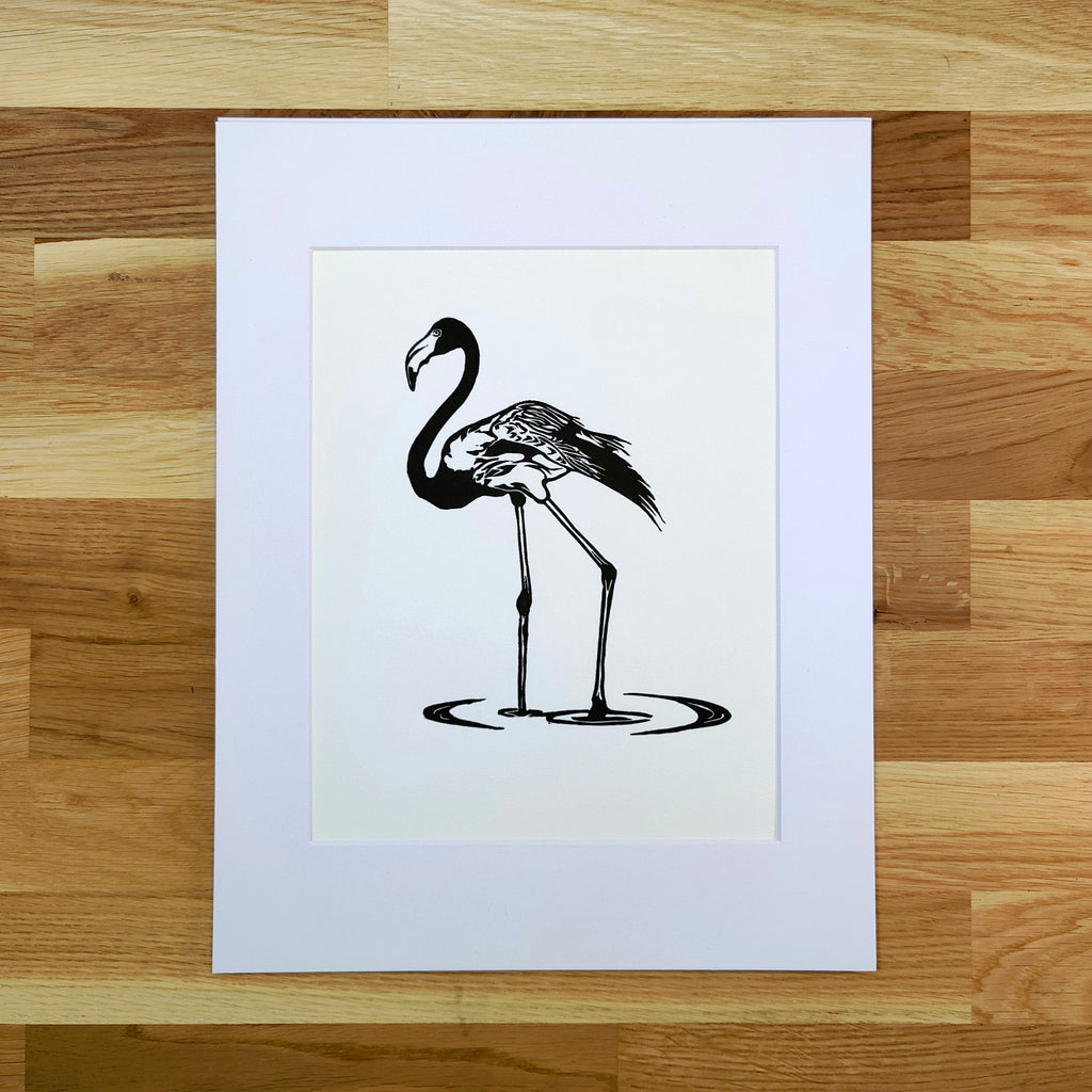 Flamingo in Shallows   Barbara Gomes Arts