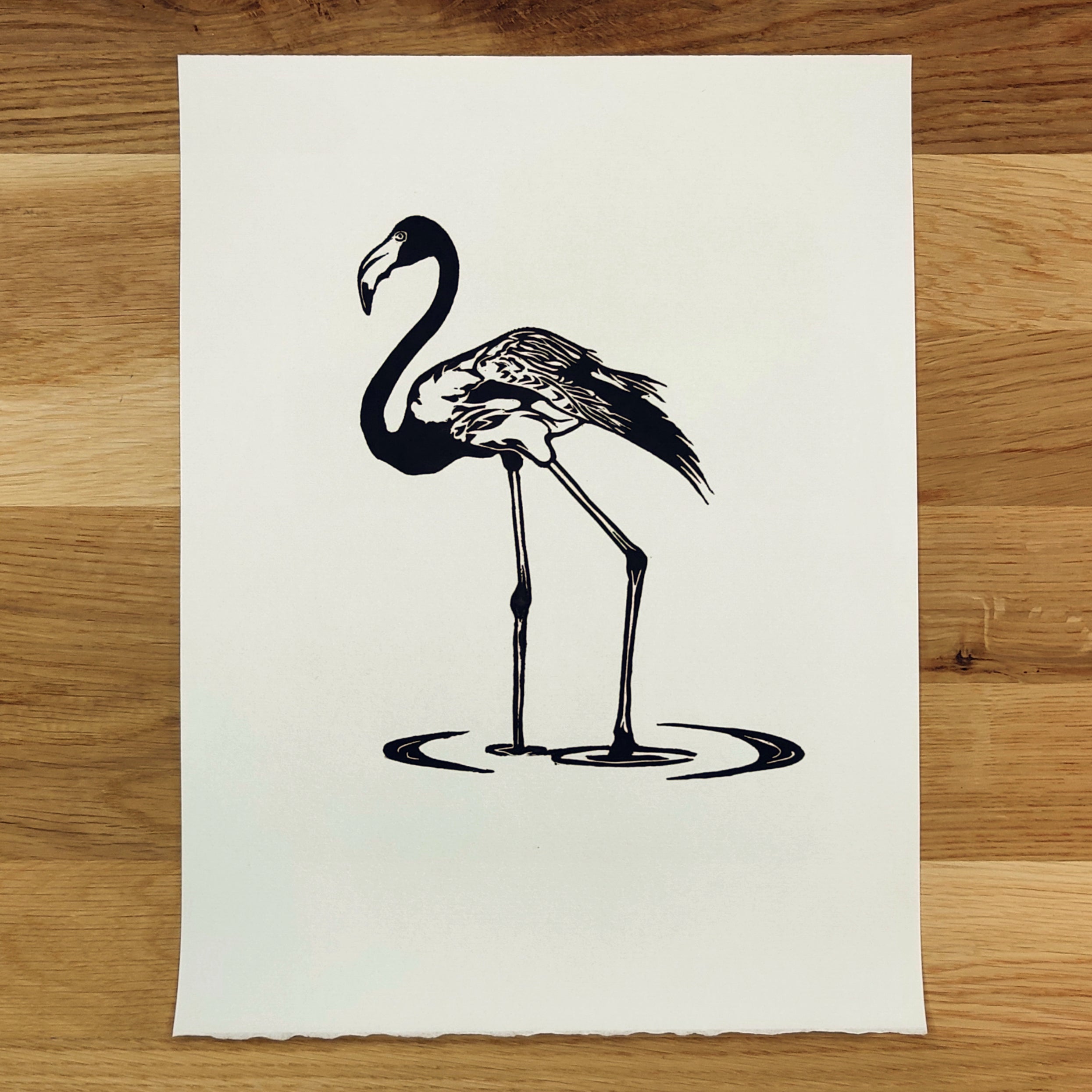 Flamingo in Shallows   Barbara Gomes Arts