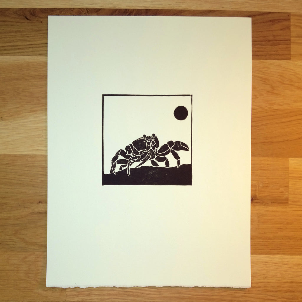 Hopeful Crab   Barbara Gomes Arts