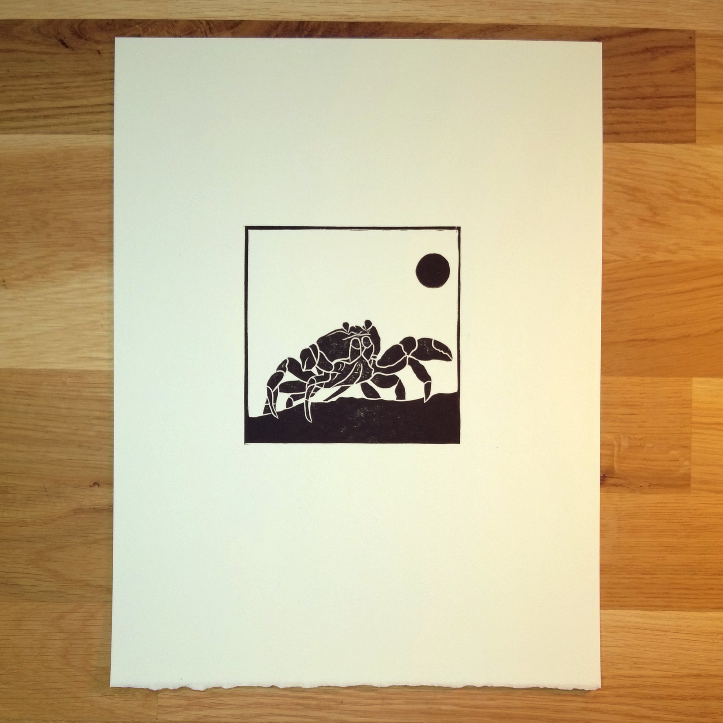 Hopeful Crab   Barbara Gomes Arts