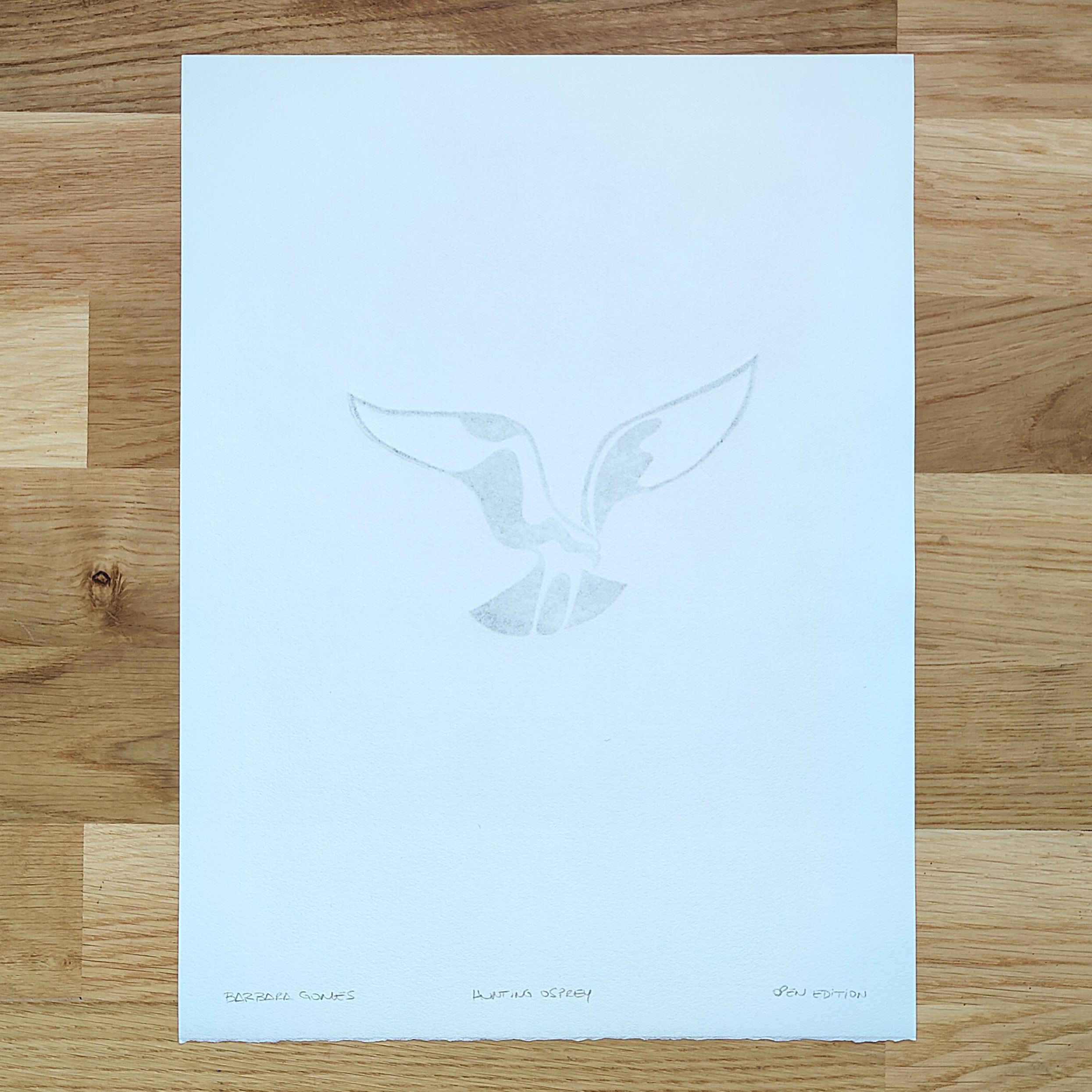 Hunting Osprey   Barbara Gomes Arts
