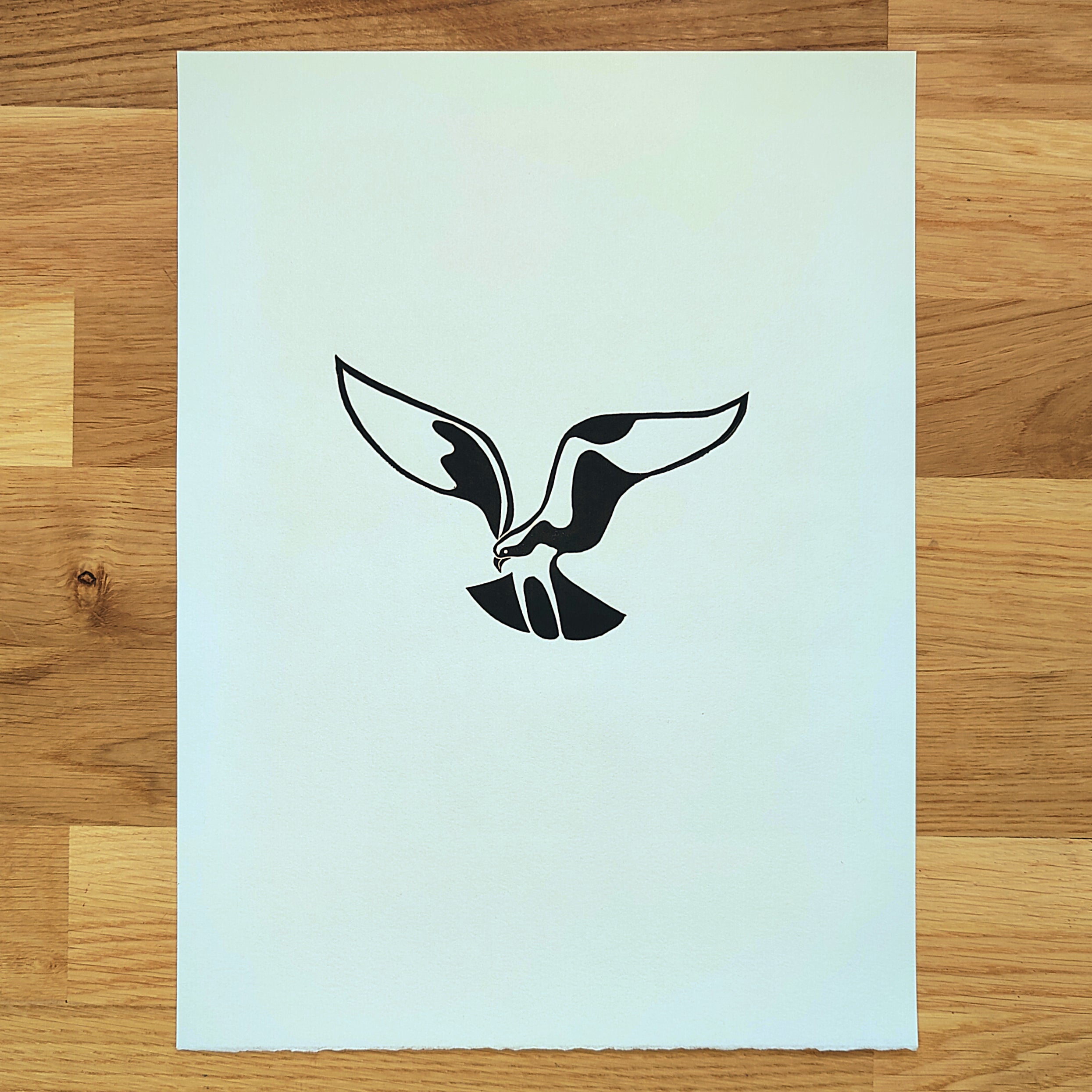 Hunting Osprey   Barbara Gomes Arts