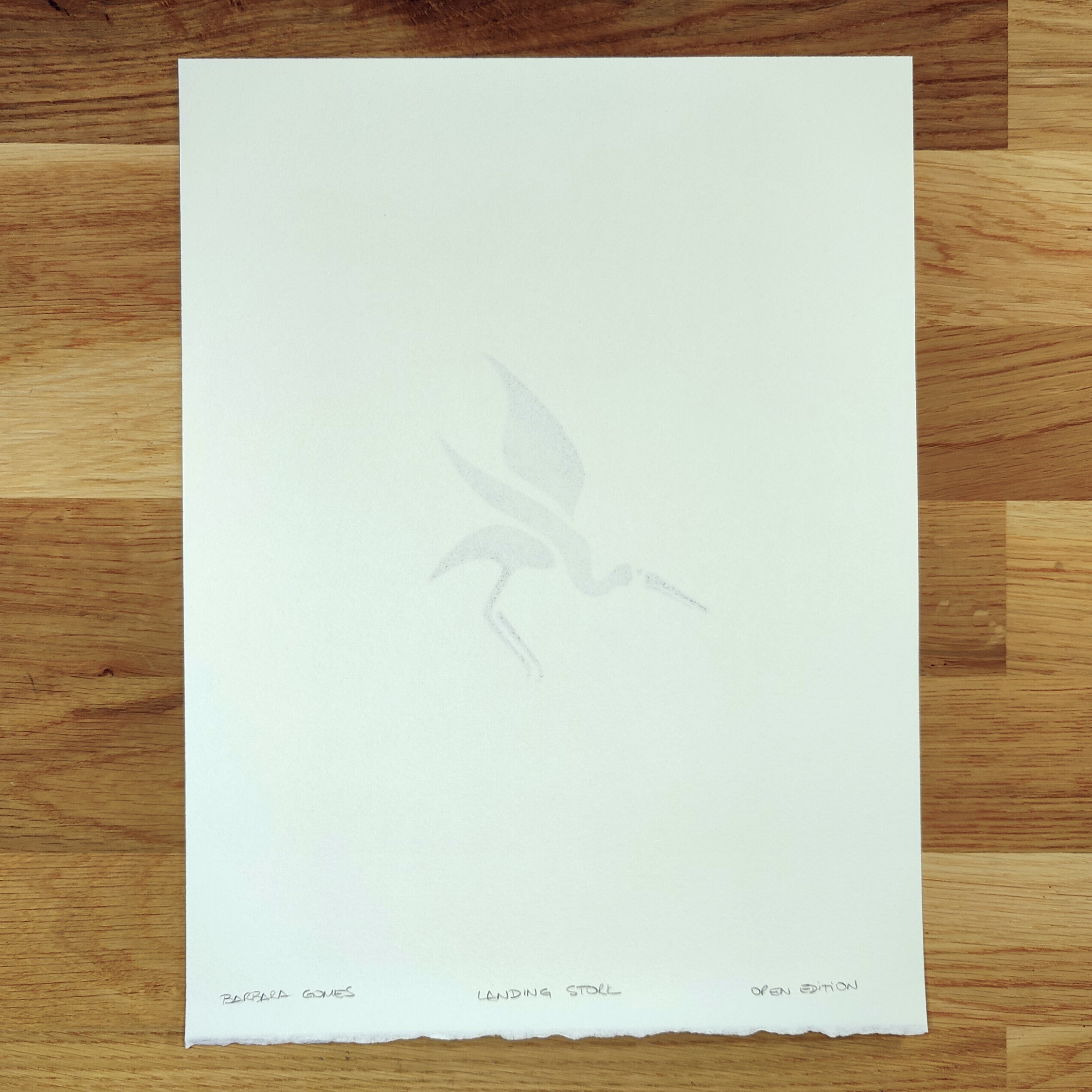 Landing Stork   Barbara Gomes Arts