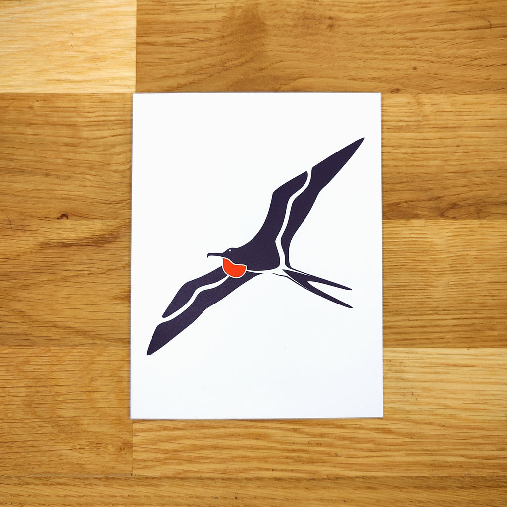 Coastal Birds Card Set