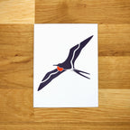 Coastal Birds Card Set