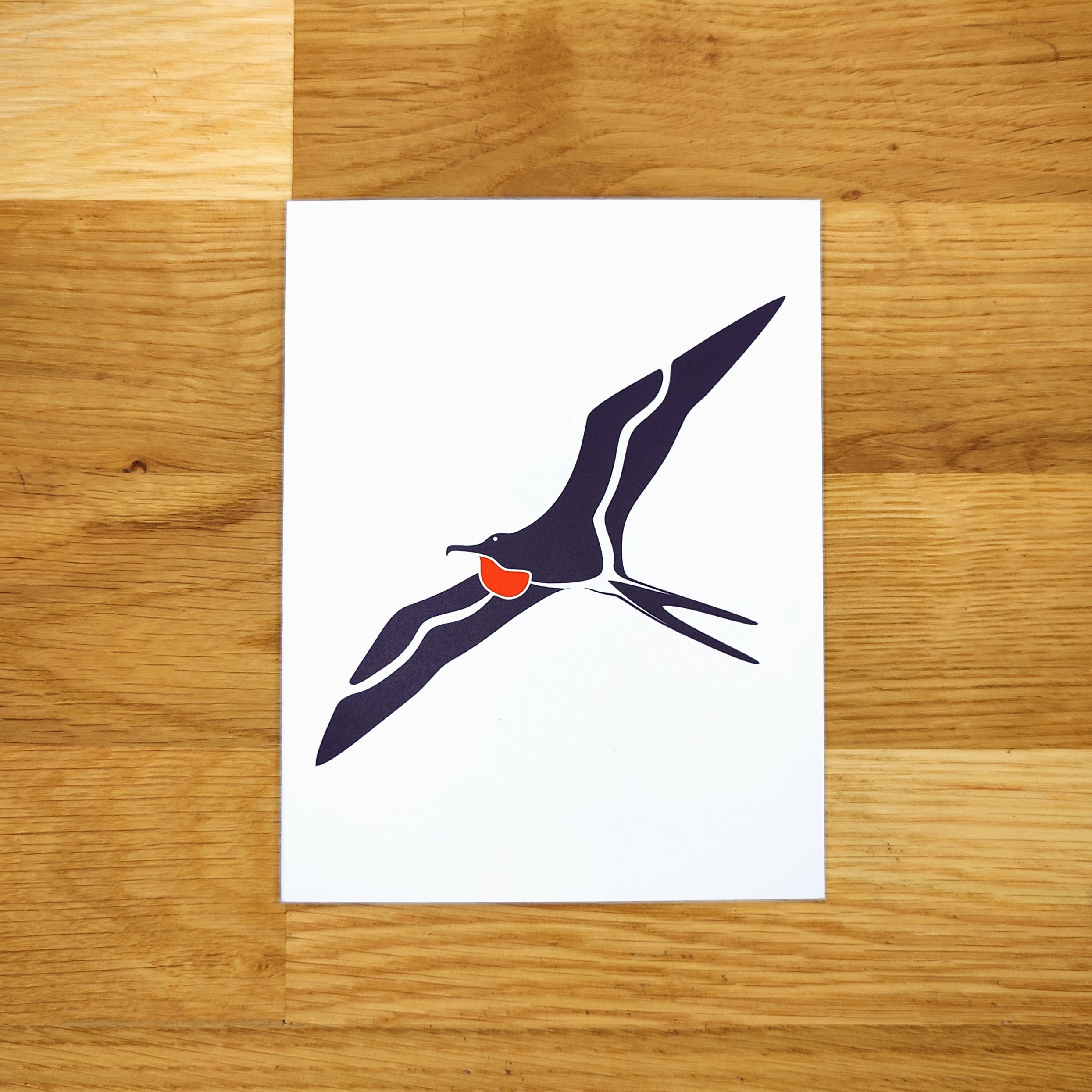 Coastal Birds Card Set