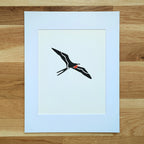 Magnificent Frigatebird   Barbara Gomes Arts