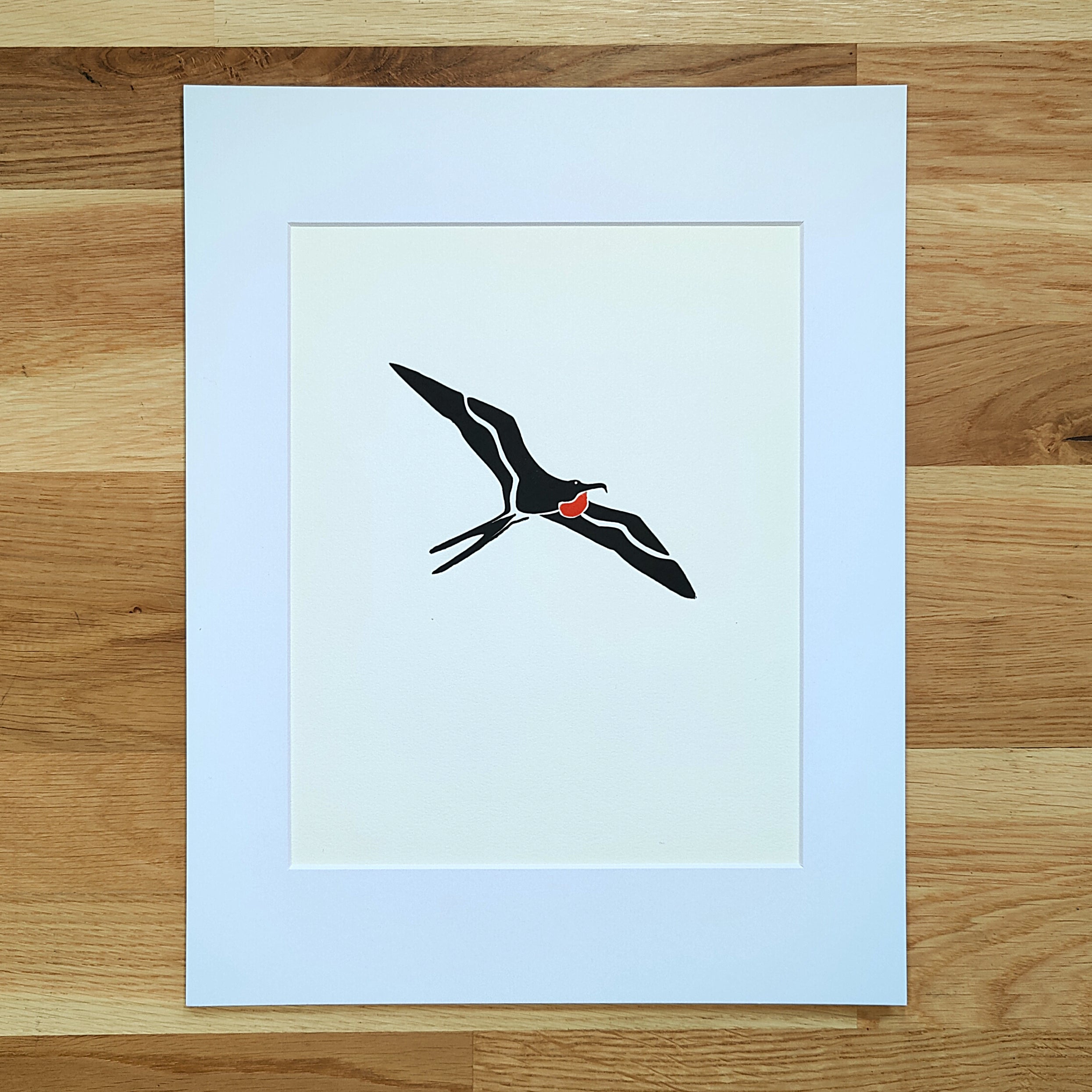 Magnificent Frigatebird   Barbara Gomes Arts