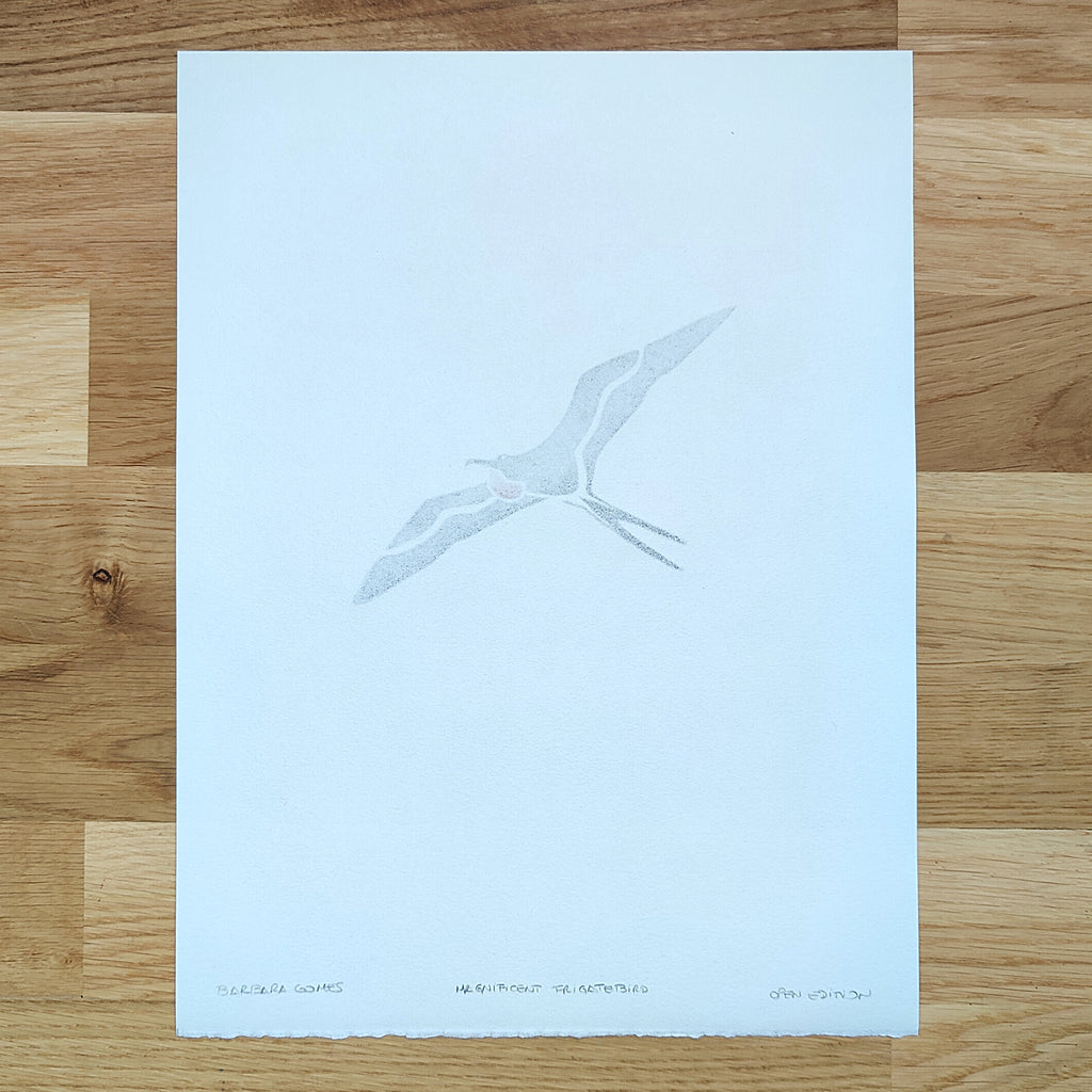 Magnificent Frigatebird   Barbara Gomes Arts
