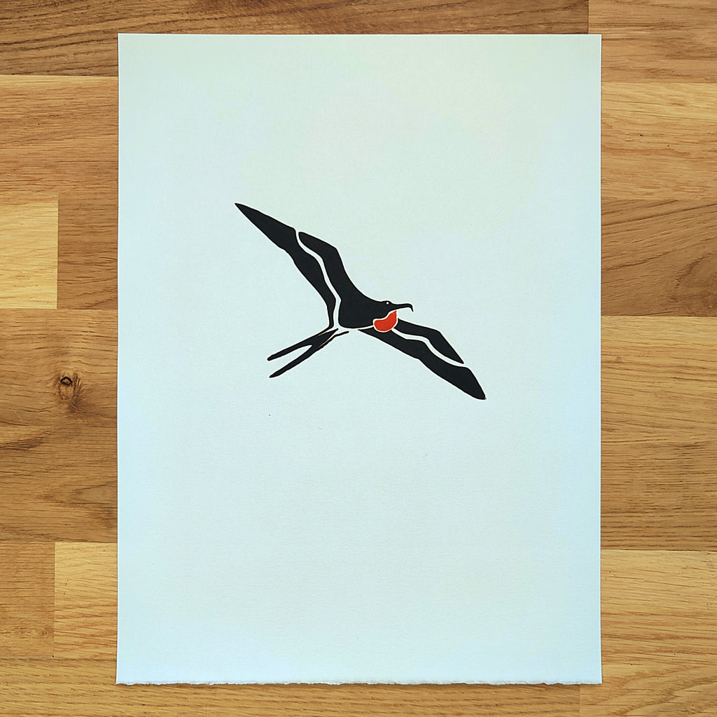 Magnificent Frigatebird   Barbara Gomes Arts