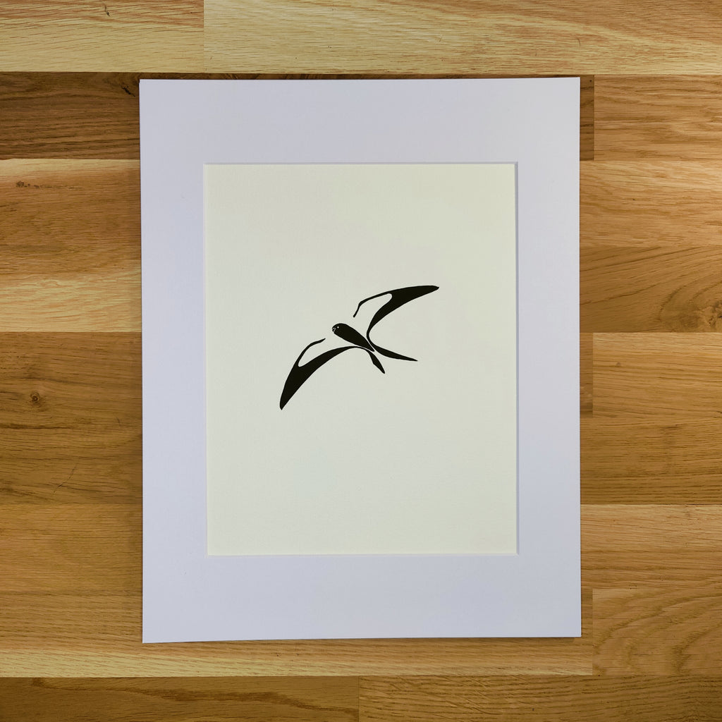 Swallow-Tailed Kite   Barbara Gomes Arts
