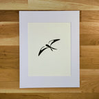 Swallow-Tailed Kite   Barbara Gomes Arts