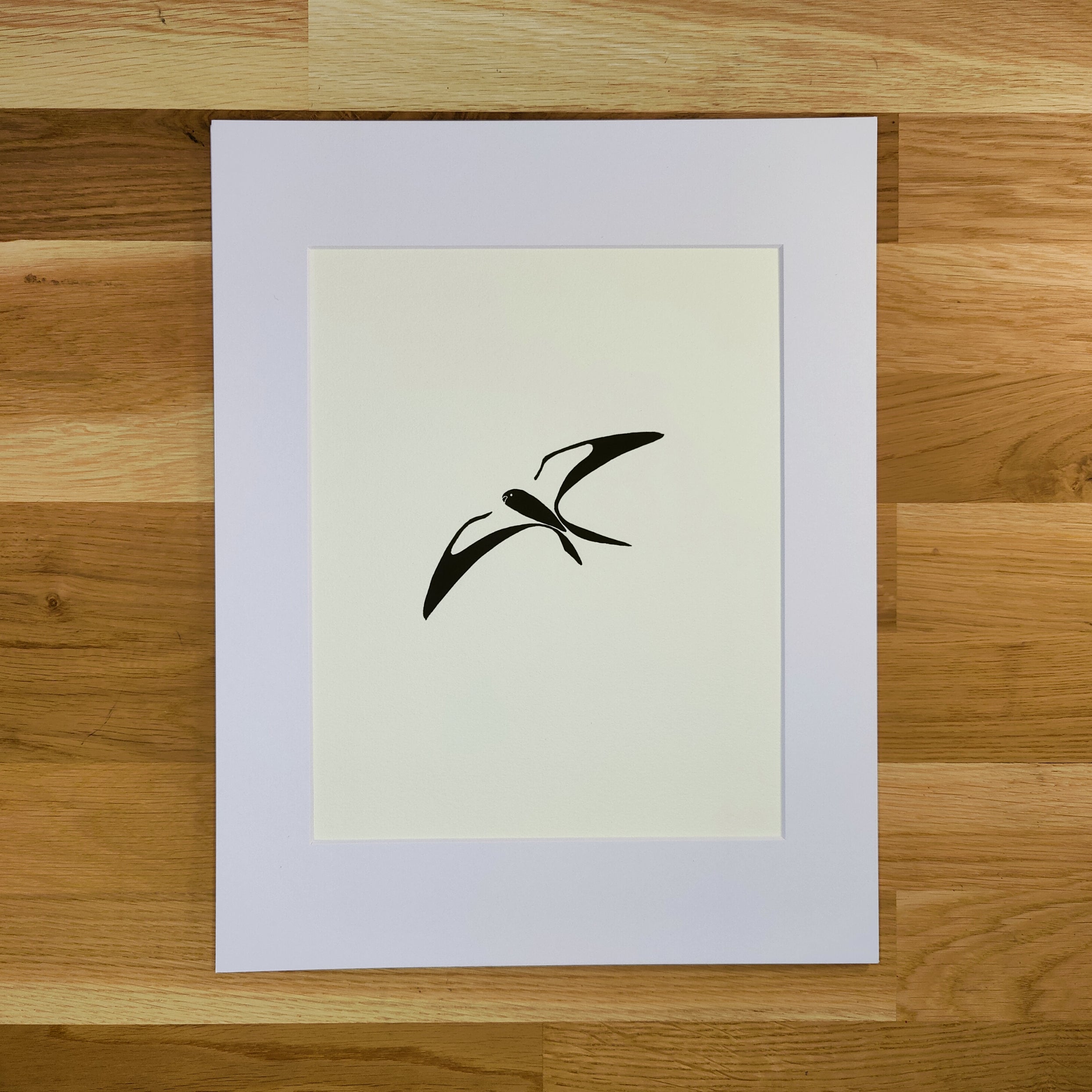 Swallow-Tailed Kite   Barbara Gomes Arts