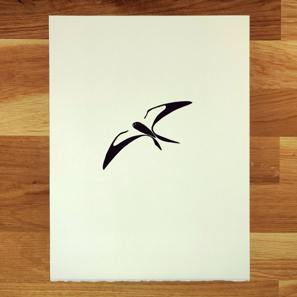 Swallow-Tailed Kite   Barbara Gomes Arts