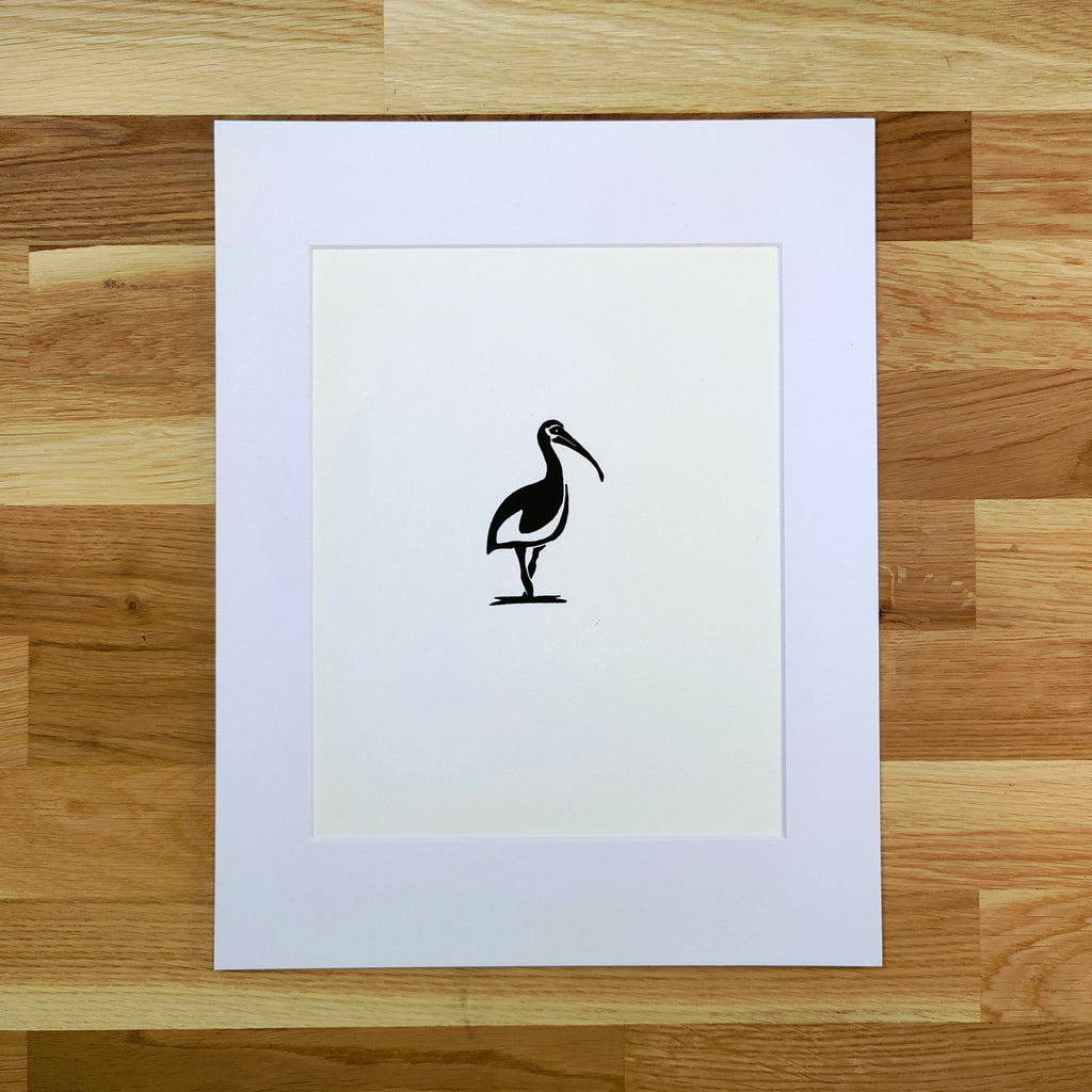 White Ibis in Reflection   Barbara Gomes Arts