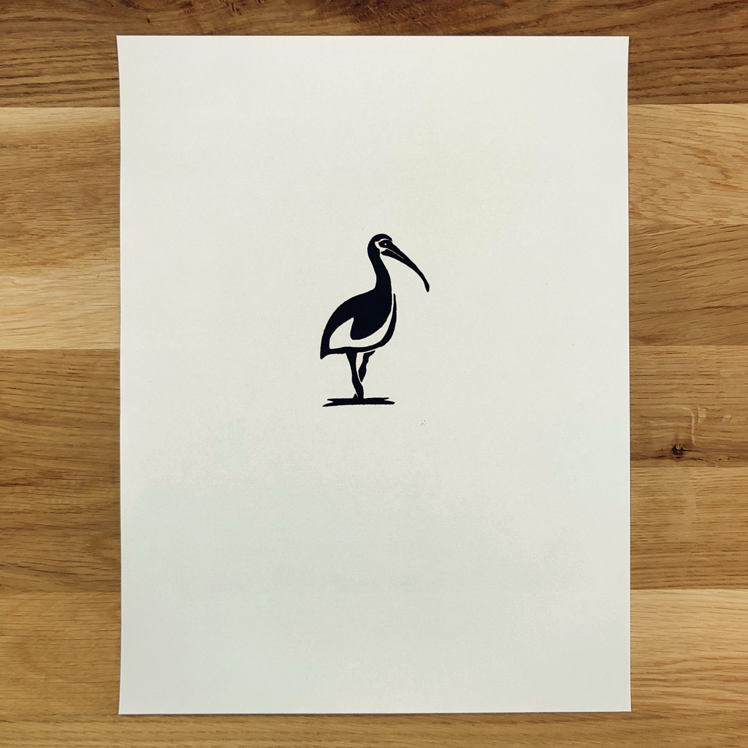 White Ibis in Reflection   Barbara Gomes Arts