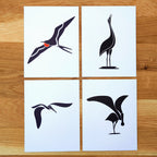 Coastal Birds Card Set