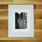 Zebra in Focus (coming soon)   Barbara Gomes Arts
