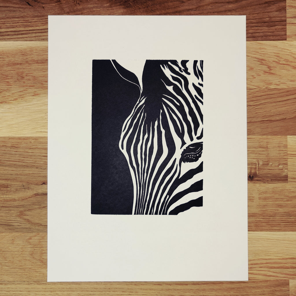 Zebra in Focus   Barbara Gomes Arts