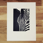 Zebra in Focus   Barbara Gomes Arts