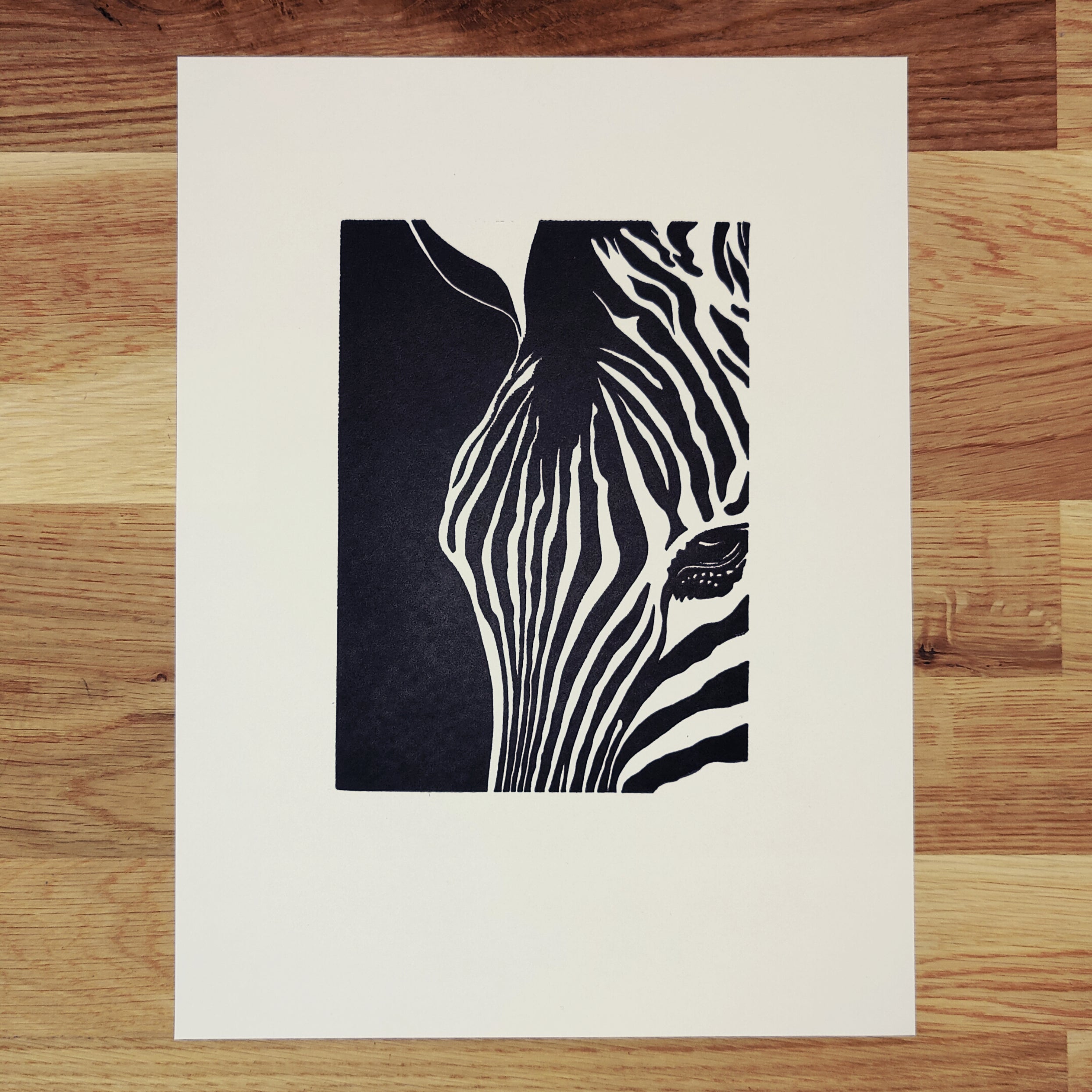 Zebra in Focus   Barbara Gomes Arts